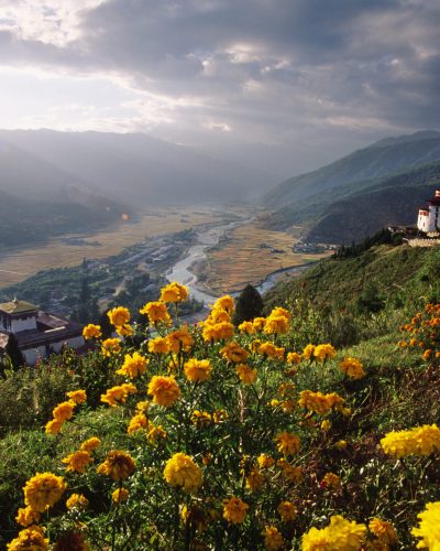 Blick auf das Paro-Tal in Bhutan mit gelben Blumen im Vordergrund, traditionellen Klostergebäuden, einem Fluss im Tal und bewaldeten Bergen unter dramatischem Himmel.